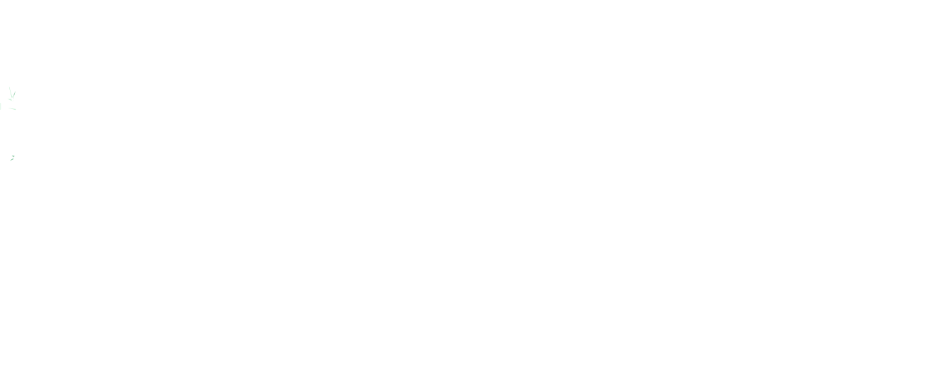 WPC sistemi